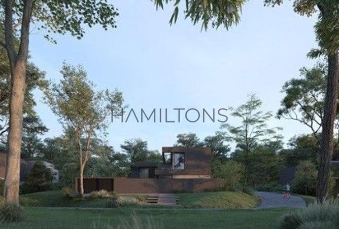 15834379 - Property Image 3