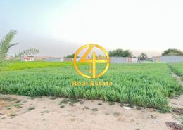 Farm for sale in Sweihan - Al Ain