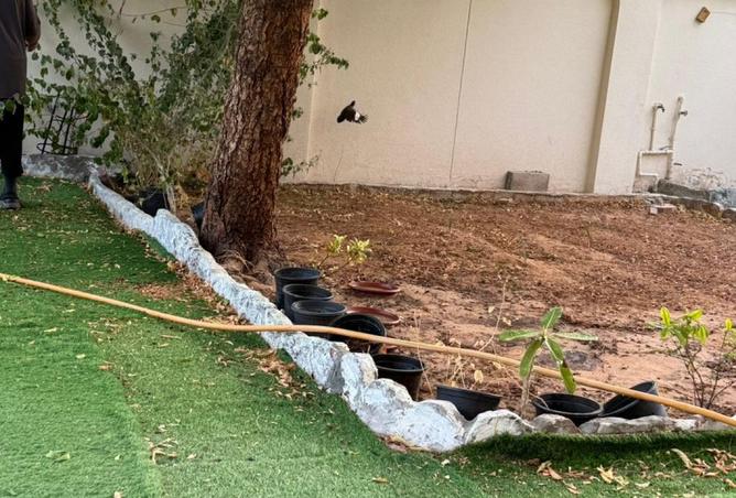 15573440 - Property Image 2