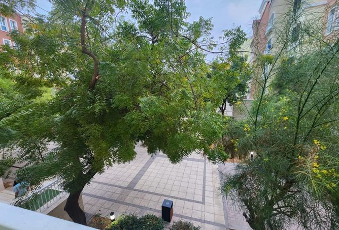 15401080 - Property Image 3