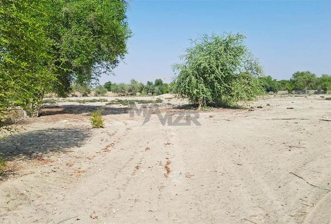 15330569 - صورة العقار 2