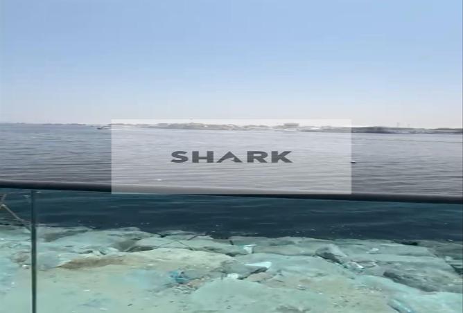 15263761 - Property Image 3