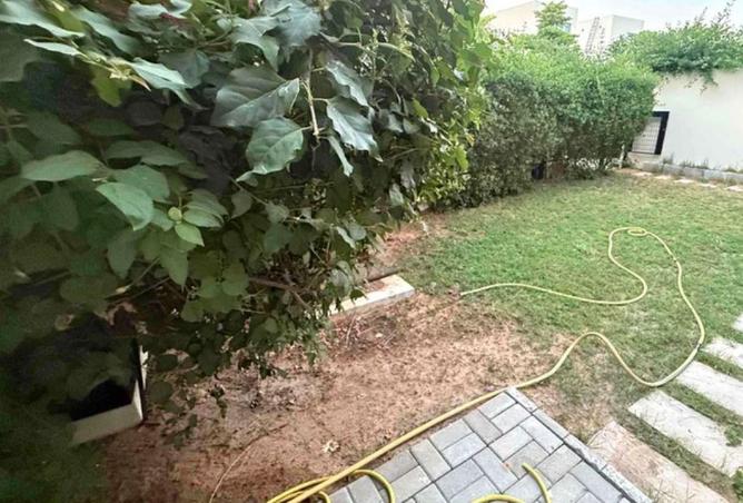 15687781 - Property Image 2