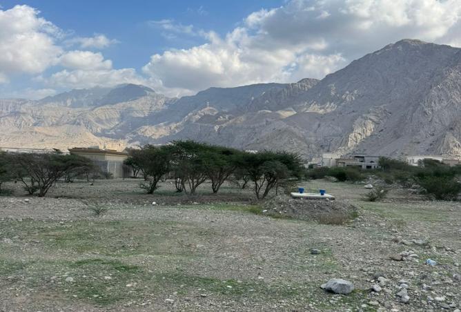 16100226 - Property Image 2