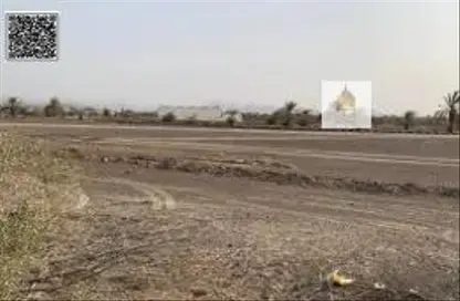 أرض - استوديو للبيع في المنامة - عجمان