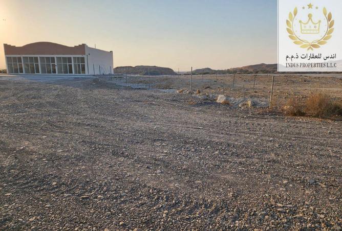 15433217 - صورة العقار 3