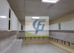 Labor Camp for rent in M-17 - Mussafah Industrial Area - Mussafah - Abu Dhabi