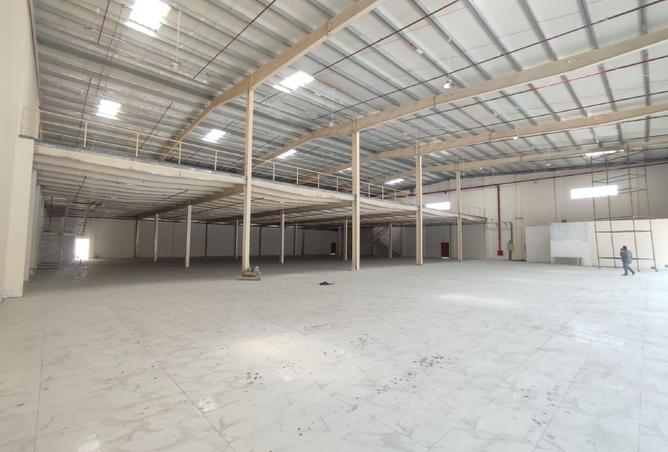 16030687 - صورة العقار 3