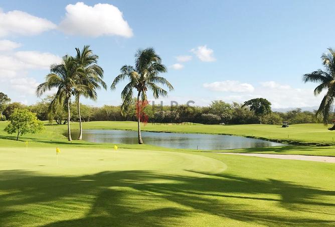 15876557 - صورة العقار 3