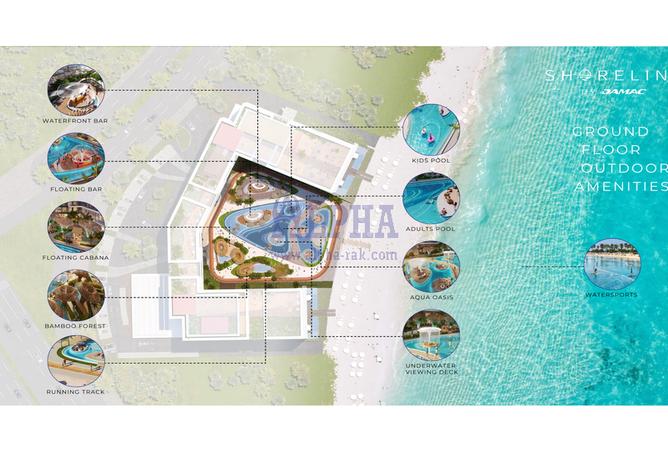 15595639 - Property Image 3