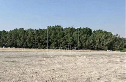 أرض - استوديو للبيع في السجع إس - آلصجعه - الشارقة