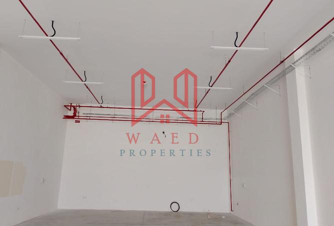 14153986 - Property Image 2