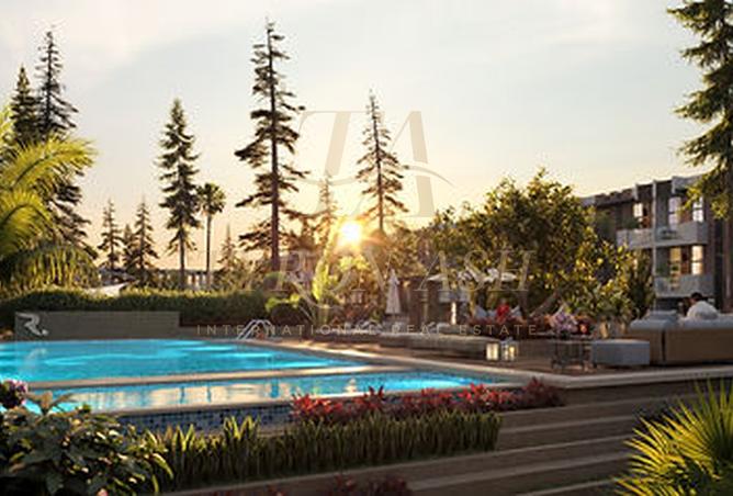 15653208 - Property Image 3