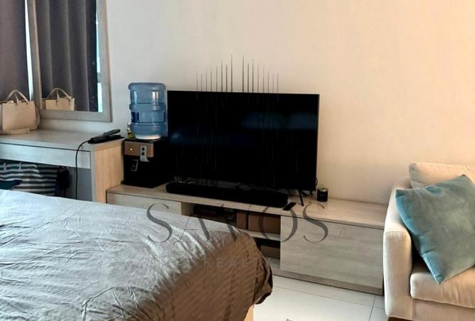14536743 - Property Image 3