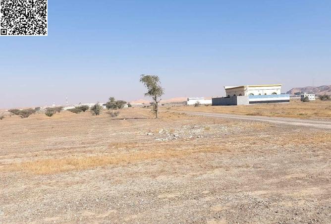 16101029 - Property Image 3