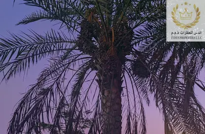 فيلا - 3 غرف نوم - 4 حمامات للبيع في المنامة - عجمان فيلا - 3 غرف نوم - 4 حمامات للبيع في المنامة - عجمان