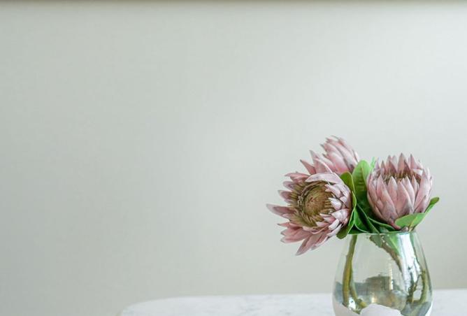 15549577 - صورة العقار 2