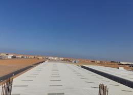 Factory - 1 bathroom for rent in Industrial Area 2 - Emirates Modern Industrial - Umm Al Quwain