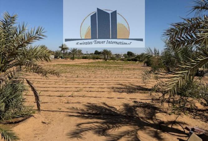 15968500 - صورة العقار 2