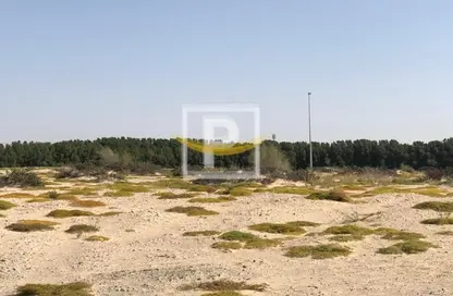 أرض - استوديو للبيع في مجان - دبي