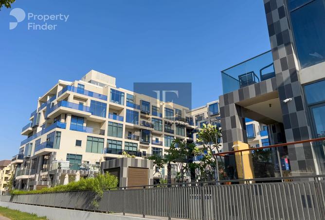 15969878 - Property Image 3