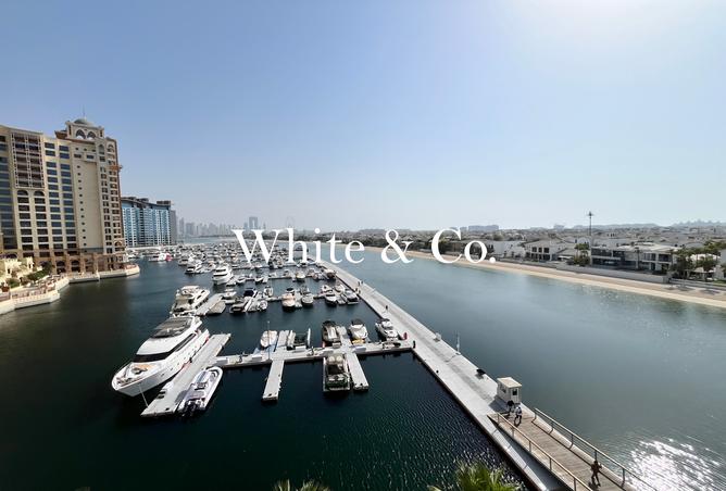 15546683 - صورة العقار 3