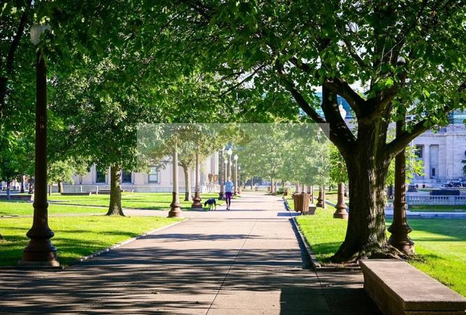 15866832 - Property Image 3