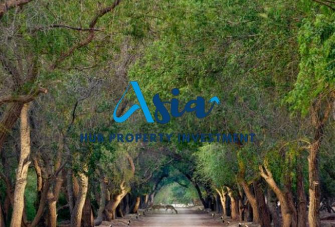 15884318 - Property Image 2