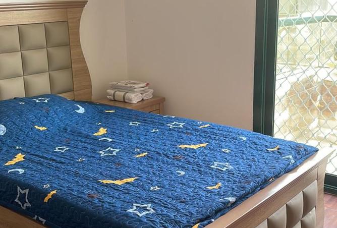 15814077 - صورة العقار 3