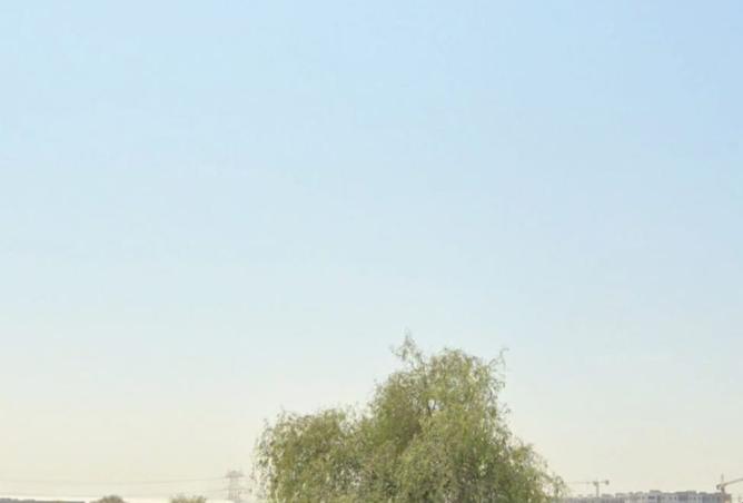 16020870 - صورة العقار 2