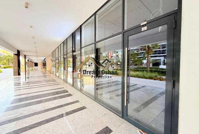15471869 - Property Image 3