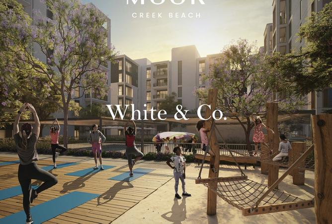 15627672 - Property Image 2