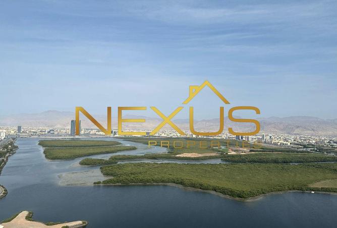 16096806 - Property Image 2