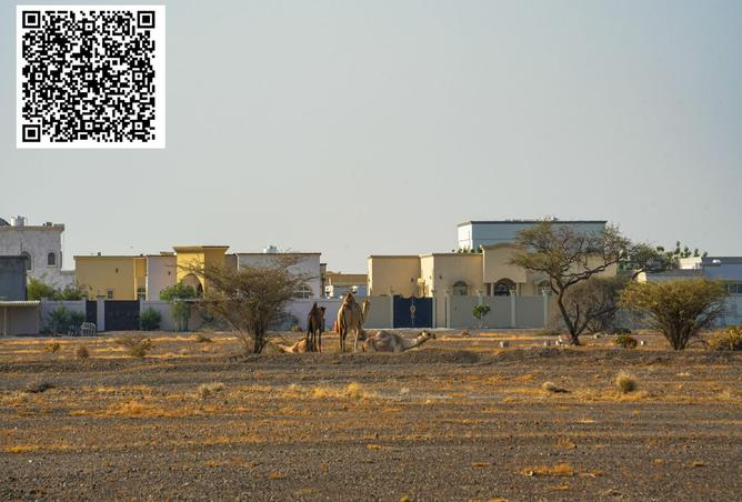 15950373 - صورة العقار 2