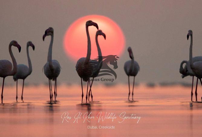 15499817 - صورة العقار 2