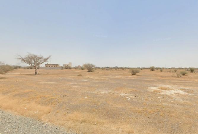 15575074 - Property Image 2