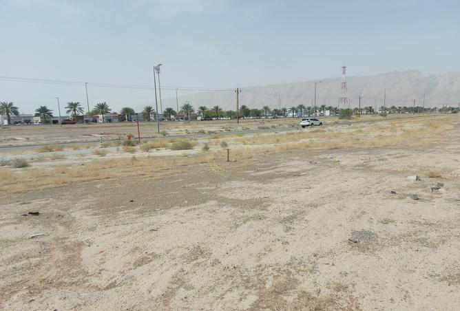 13138563 - صورة العقار 2