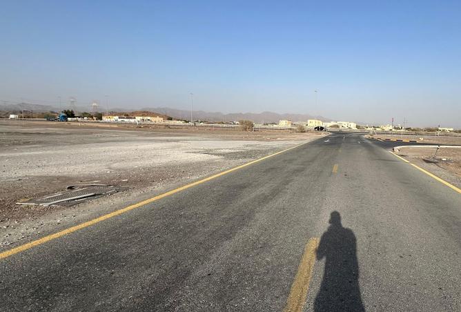 15716977 - Property Image 3