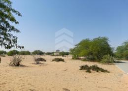 Land for sale in Al Arqoub - Sharjah Industrial Area - Sharjah Land for sale in Al Arqoub - Sharjah Industrial Area - Sharjah