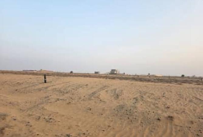 15667500 - Property Image 3