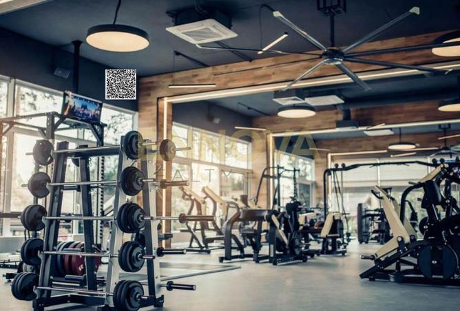 15569671 - Property Image 3