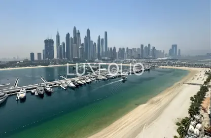 Apartment - 3 Bedrooms - 4 Bathrooms for sale in Palace Beach Residence Tower 1 - Palace Beach Residence - EMAAR Beachfront - Dubai Harbour - Dubai