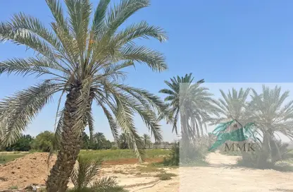 مزرعة - استوديو للبيع في كيزاد - السمحة - أبوظبي