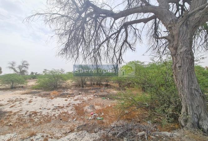 15038275 - Property Image 3