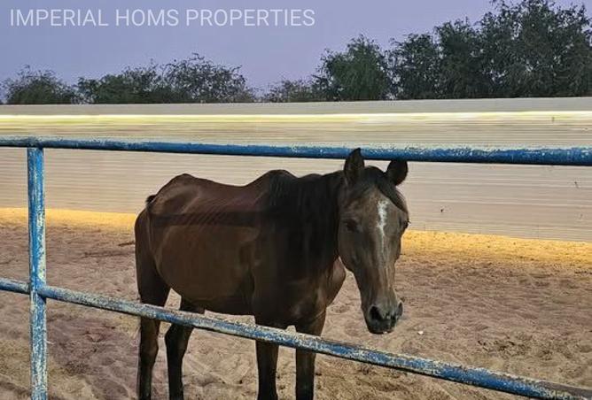 15472818 - Property Image 2