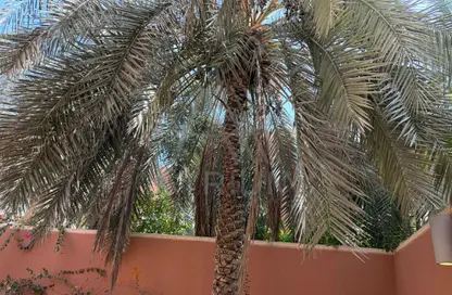 فيلا - 4 غرف نوم - 4 حمامات للايجار في قرية المانجروف - ربدان - أبوظبي