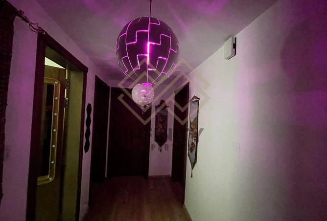 15516636 - Property Image 3