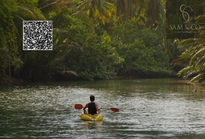 15831184 - Property Image 3