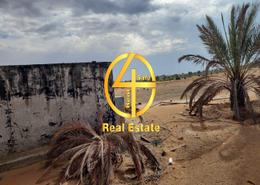Outdoor House image for: Farm - 2 bathrooms for sale in Marabe Al Dhafra - Madinat Zayed - Abu Dhabi, Image 1