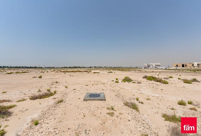 14965269 - صورة العقار 2
